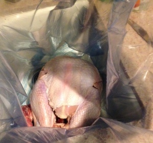 Putting Turkey in Bag