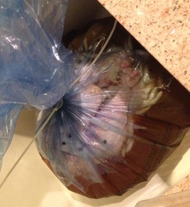 Turkey in Brine Bag