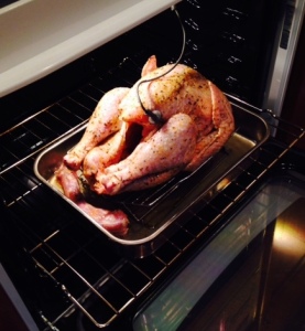 Turkey with Oven Probe